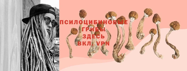 Альфа ПВП Балабаново