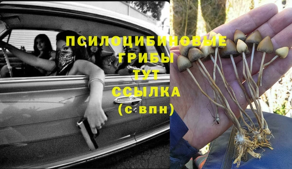 эйфоретик Козельск