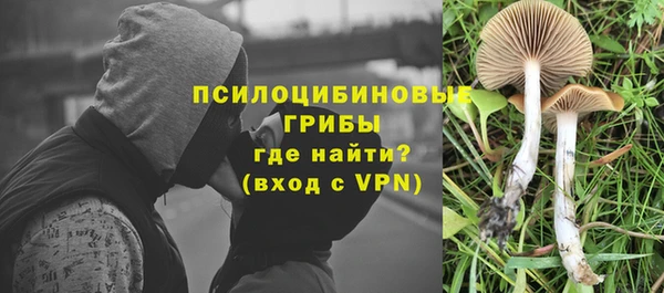 Альфа ПВП Балабаново