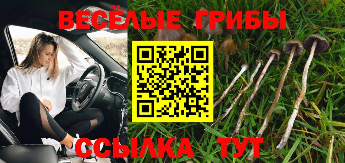 Псилоцибиновые грибы MAGIC MUSHROOMS Кувандык