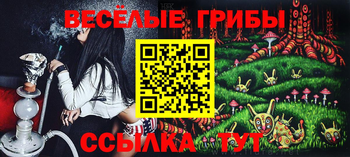 Кувандык  Псилоцибиновые грибы мицелий  Вход с VPN 