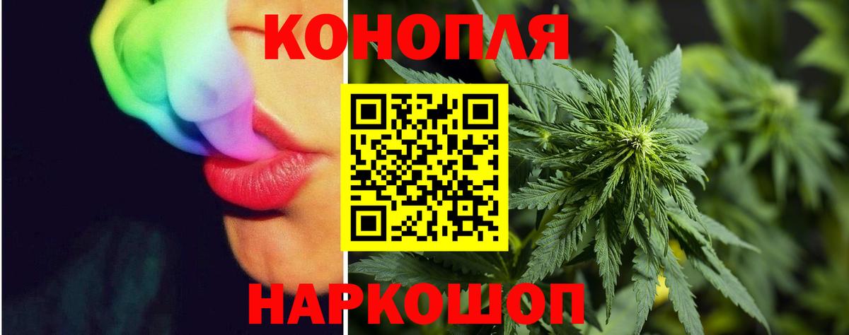 Марихуана планчик  Конопля Bruce Banner  Кувандык  Бошки марихуана MAZAR  Шишки марихуана OG Kush  Вход с VPN 